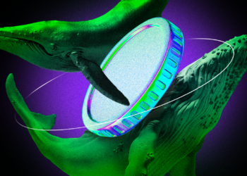 What Crypto Whales Are Buying for Potential Gains in December 2024