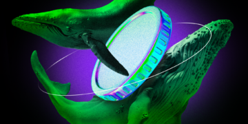 What Crypto Whales Are Buying for Potential Gains in December 2024
