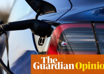 If we delay the UK’s drive for electric vehicles, our rivals will overtake us | Jonathan Reynolds