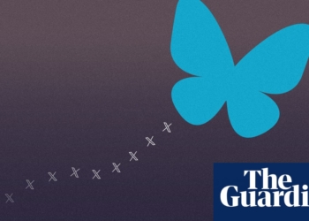 From X to Bluesky: why are people fleeing Elon Musk’s ‘digital town square’?