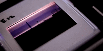 This Website Shows How Much Google’s AI Can Glean From Your Photos