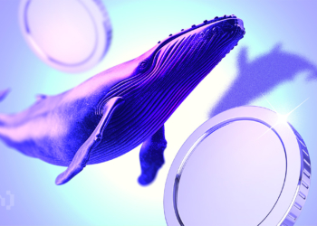 Crypto Whales Bought These Altcoins in the First Week of December 2024