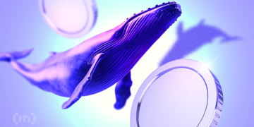 Crypto Whales Bought These Altcoins in the First Week of December 2024