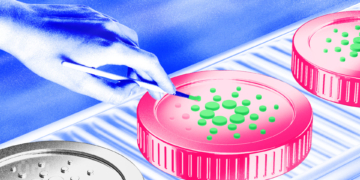 Cardano Soars to 32-Month High Following $276 Million Whale Inflows