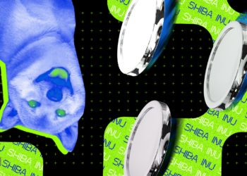 Shiba Inu’s New Encryption Step Enhances User Privacy in Expanding Shibarium