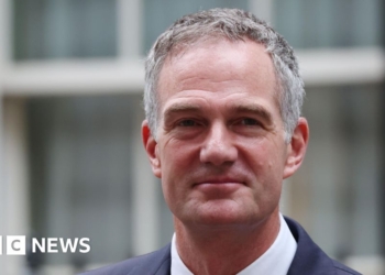 Minister tells Turing AI institute to focus on defence