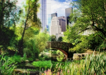 This AI Warps Live Video in Real Time