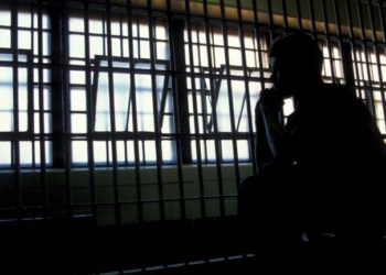 Bitcoin Core Developer Arrested in El Salvador For Allegedly Calling Neighbor ‘Stupid’