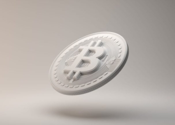 Has Bitcoin Been Co-Opted? Ancient Whale’s Sale Examined