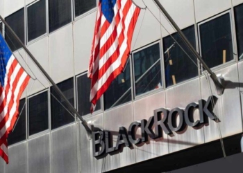 Blackrock Sees Banner Year for Bitcoin as Stablecoins Power the Future of Finance