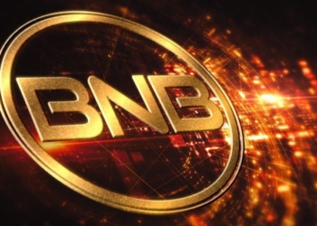 BNB Treasury Company to Launch in US Backed by YZi Labs and 10X Capital