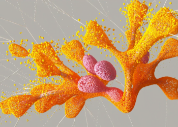 Isomorphic Labs prepares for its first human trials with drugs designed by AlphaFold