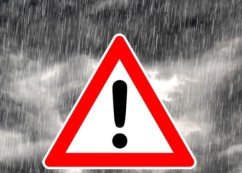 Customers Could Be Crushed—Expert Flags Deep Risk for Linqto Investors