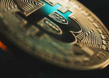 Economist Steve Hanke Torches Bitcoin Strategy With Brutal ‘No Value’ Verdict