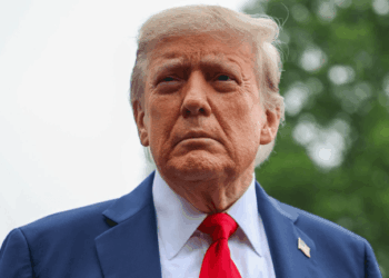 Trump Drafts Letter to Fire Fed Chair Powell, Polls GOP Support: NYT 