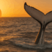 Mysterious OG Bitcoin Whale Sends 40,000 Bitcoin to Galaxy Digital’s Coffers