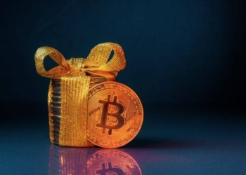 Cross-Chain Crisis? Why Wrapped BTC Might Be Bitcoin’s Weakest Link