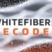 Decoding WhiteFiber’s IPO: Bit Digital’s AI Infrastructure Arm Steps Into the Spotlight