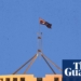 ‘Scary’: how misinformation and AI hallucinations are infiltrating Australia’s parliament