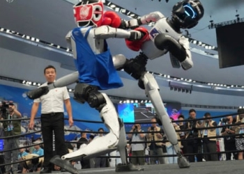 Faster, higher, funnier: what we learned from China’s robot games