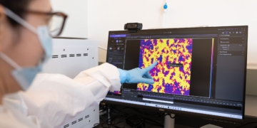 AI Models Built From Rat Brains Just Got Closer to Reality