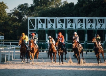 A 97% Favorite Lost at Goodwood and the Bookmakers Still Took a Hit