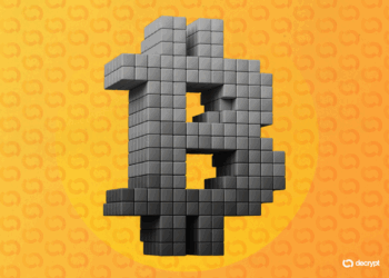 Why Holding Anything But Bitcoin Has Been a Losing Bet for Two Years