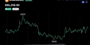 Bitcoin Liquidations Drop Sharply as BTC Price Holds Above $86,000