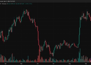 Bitcoin Price Spikes Near $80K as CPI Matches Forecasts