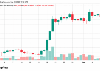 Bitcoin Price Drops Below $79K Line as Longs Get Torched in $208M Rout