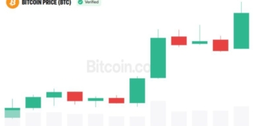 Analyst Sees 75% Chance Crypto Cycle Has Turned as Bitcoin Pulls Back