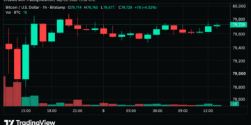 Bitcoin Price Teeters Near $80K as Momentum Starts to Crack