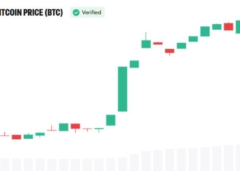 Bitcoin Rally Has ‘Serious Institutional Money’ Behind It, Devere Says