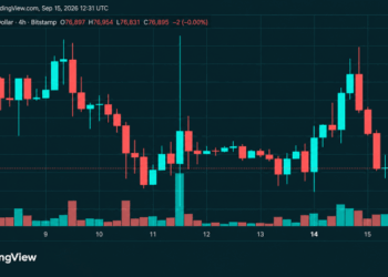 Bitcoin’s Price Is Sitting on Support After a Brutal $79K Rejection