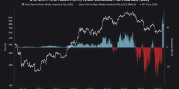 Bitcoin’s $9.07B Whale Profit Record Puts Rally Floor to Test
