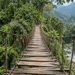 Deep in Mexico’s Jungle, Police Found 300 Crypto Miners Humming