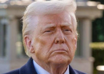 Trump Diesel Curbs Could Hit Every Major Economy, Devere Warns