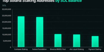 Inside Solana’s Staking Giants and the Mystery Whales With Billions