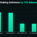 Inside Solana’s Staking Giants and the Mystery Whales With Billions