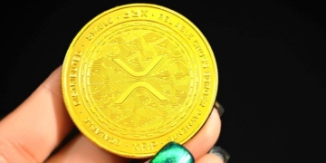 Ripple No Longer Member of BIS Cross-Border Payments Task Force