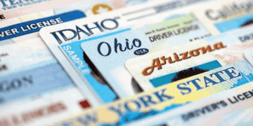 Nexus ID Breach Exposes a Blueprint for Fraud, Experts Warn