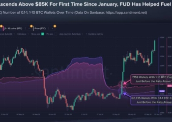 Smaller Bitcoin Holders Sold Before $85K Rally as 69,494 Wallets Exit