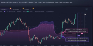 Smaller Bitcoin Holders Sold Before $85K Rally as 69,494 Wallets Exit