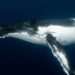 Satoshi-Era Bitcoin Whale Awakens, Moves $48M in Vintage BTC