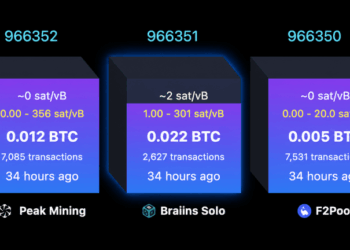 Solo Bitcoin Miner Hits $244K Jackpot After Nearly 40-Day Drought