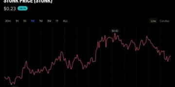 Trader Bought STONK at a $1M Market Cap and Walked Away With $320K Profit