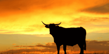 Is the CLARITY Act Really (Not) Needed for Bitcoin Price to Rally?