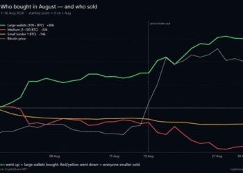 Cryptoquant: Bitcoin Price Rally Hid a 60,000 BTC Whale Buying Spree