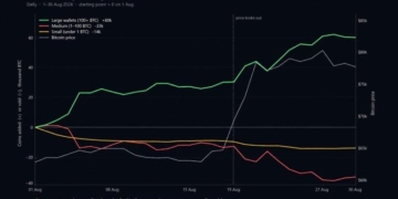 Cryptoquant: Bitcoin Price Rally Hid a 60,000 BTC Whale Buying Spree