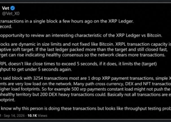 XRP Ledger Broke Its Transaction Record, and 20 Wallets Did Most of It